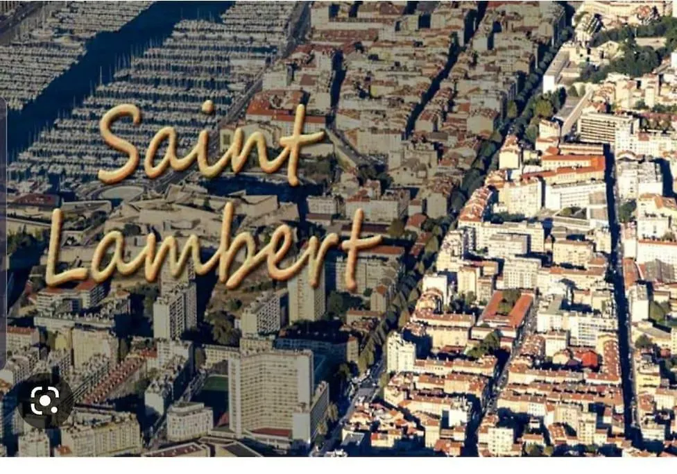 Charmant Nid Au Coeur De Paris France